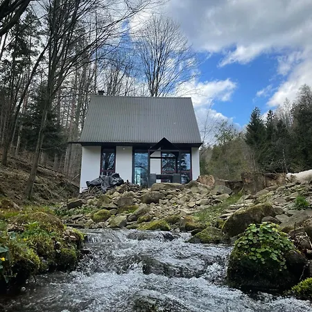 Hébergement de vacances Na Wyspie Międzybrodzie Bialskie